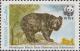 Colnect-2181-741-Asiatic-Black-Bear-Ursus-thibetanus.jpg