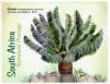 Colnect-5962-684-Cycads-of-South-Africa.jpg