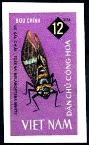 Colnect-5878-860-Big-Cicada-Tosena-melanoptera.jpg