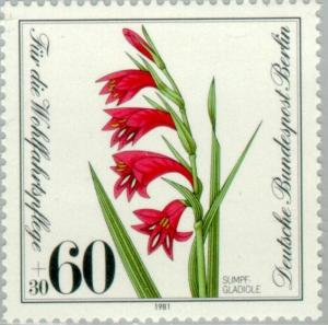 Colnect-155-471-Gladiolus-palustris.jpg