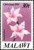 Colnect-6026-357-Gladiolus-laxiflorus.jpg