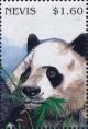 Colnect-4411-444-Head-of-Giant-Panda.jpg