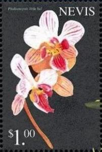 Colnect-4411-217-Phalaenopsis-Little-Hal.jpg