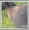 Colnect-6135-930-Helmeted-Guineafowl-Numida-meleagris-Nkhanga.jpg