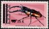Colnect-1107-093-African-Red-Stag-Beetle-Metopodontus-savagei.jpg