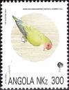 Colnect-1109-628-Rosy-faced-Lovebird-Agapornis-roseicollis-ssp-catumbella.jpg