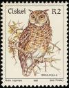 Colnect-1476-733-Cape-Eagle-owl-Bubo-capensis.jpg