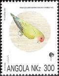 Colnect-1109-628-Rosy-faced-Lovebird-Agapornis-roseicollis-ssp-catumbella.jpg