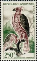 Colnect-2506-742-Crowned-Hawk-eagle-Stephanoaetus-coronatus-.jpg