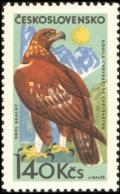 Colnect-438-625-Golden-Eagle-Aquila-chrysaetus.jpg