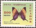 Colnect-4967-598-Corinna-Daggerwing-Marpesia-corina.jpg