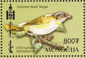 Colnect-1290-200-Common-Bush-Tanager-Chlorospingus-ophthalmicus.jpg