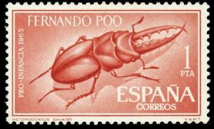 Colnect-1673-205-African-Red-Stag-Beetle-Metopodontus-savagei.jpg