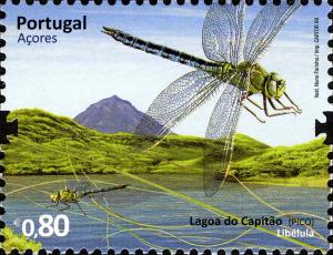 Colnect-4430-924-Dragonfly---Lagoon-of-Capit-atilde-o-Pico.jpg