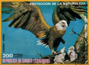 Colnect-4459-075-American-Bald-Eagle-Haliae%C3%ABtus-leucocephalus.jpg
