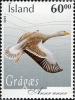 Colnect-1473-405-Greylag-Goose-Anser-anser.jpg