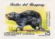 Colnect-1186-559-Artigasia-magna-Prehistoric-Guinea-Pig.jpg