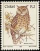 Colnect-1476-733-Cape-Eagle-owl-Bubo-capensis.jpg