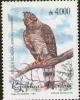 Colnect-1659-301-Crested-Eagle-Morphnus-guianensis-.jpg