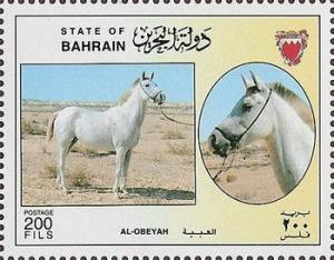 Colnect-1805-980--quot-Al-Obeyah-quot--Equus-ferus-caballus.jpg