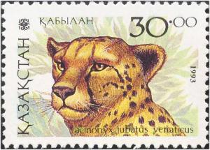 Colnect-4668-736-Asiatic-Cheetah-Acinonyx-jubatus-venaticus.jpg