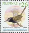 Colnect-2876-042-Black-headed-Tailorbird-Orthotomus-nigriceps.jpg
