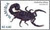 Colnect-3063-318-Black-Hairy-Thick-tailed-Scorpion-Parabuthus-villosus.jpg