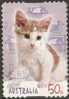 Colnect-455-899-Brown-and-white-Shorthair-Cat--Tinkerbell--Felis-silvestris.jpg