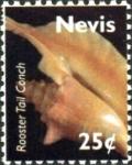 Colnect-5850-167-Rooster-tail-conch-Strombus-gallus.jpg