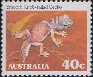 Colnect-1993-387-Smooth-Knob-tailed-Gecko-Nephrurus-laevis.jpg