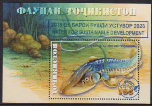 Colnect-5271-625-Water-For-Sustainable-Development-Overprint.jpg