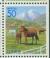 Colnect-6260-800-Yatsugatake-Mountains-Horses-Equus-ferus-caballus.jpg
