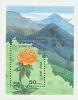 Colnect-196-767-High-mountain-Flowers-of-Tyan-Shan.jpg