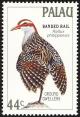 Colnect-1637-993-Buff-banded-Rail-Gallirallus-philippensis.jpg