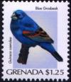 Colnect-4178-508-Blue-Grosbeak-Passerina-nbsp-caerulea.jpg