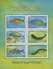 Colnect-1690-490-Fishes-of-Lake-Victoria---MiNo-4305-10.jpg