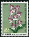 Colnect-1401-802-Calanthe-discolor.jpg