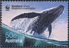 Colnect-1507-343-Humpback-Whale-Megaptera-novaeangliae.jpg