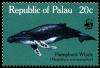 Colnect-1637-969-Humpback-Whale-Megaptera-novaeangliae.jpg
