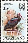 Colnect-1661-896-Southern-Bald-Ibis-Geronticus-calvus.jpg