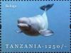 Colnect-1696-286-Beluga-Whale-Delphinapterus-leucas.jpg