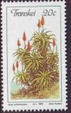 Colnect-1713-632-Aloe-arborescens.jpg