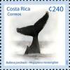 Colnect-1723-463-Humpback-Whale-Megaptera-novaeangliae.jpg