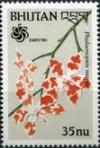 Colnect-1811-451-Phalaenopsis-mariae.jpg