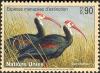 Colnect-2106-685-Southern-Bald-Ibis-Geronticus-calvus.jpg