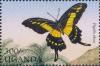 Colnect-2278-243-Thoas-Swallowtail-Papilio-thoas.jpg