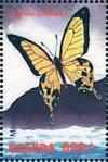 Colnect-2631-394-African-Swallowtail-Papilio-dardanus.jpg