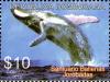 Colnect-2920-194-Humpback-Whale-Megaptera-novaeangliae.jpg