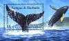 Colnect-3498-555-Humpback-Whale-Megaptera-novaeangliae.jpg