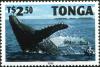 Colnect-3982-382-Humpback-whale-Megaptera-novaeangliae.jpg